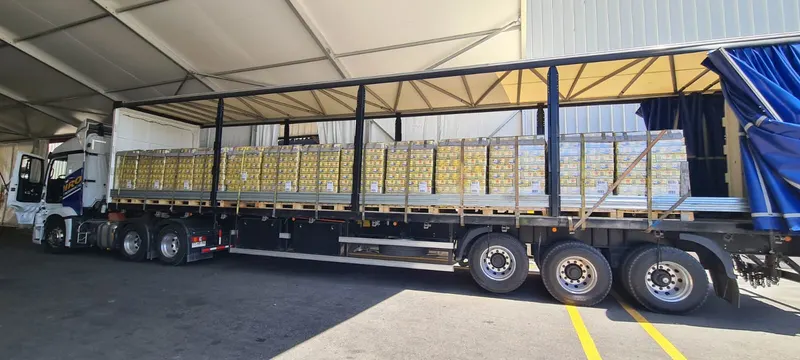 Flota para viajes puntuales